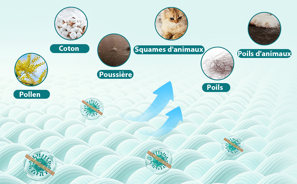 showing common airborne allergens: cotton, animal dander, dust, pollen and pet hair. The blue waves represent air currents, with virus-like particles