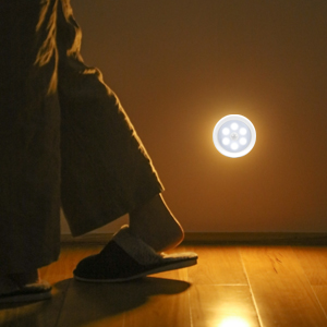 motion sensor light