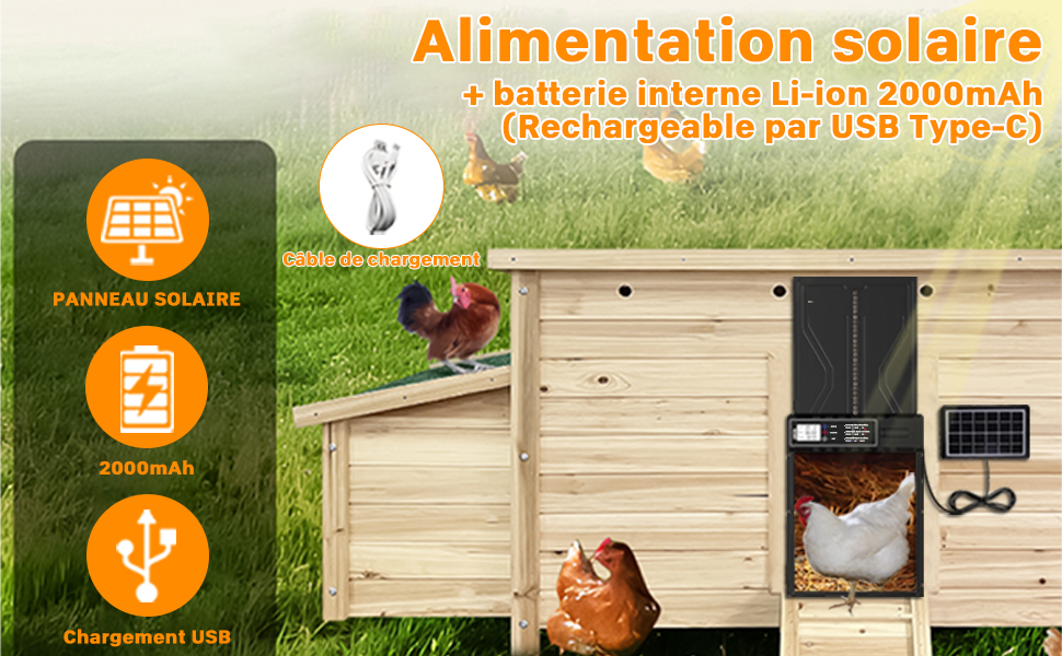 porte poulailler automatique solaire