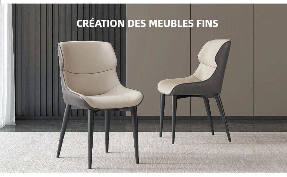 Chaise de salle à manger 2
