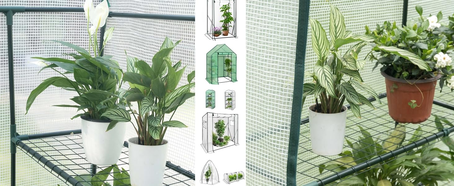 Green house