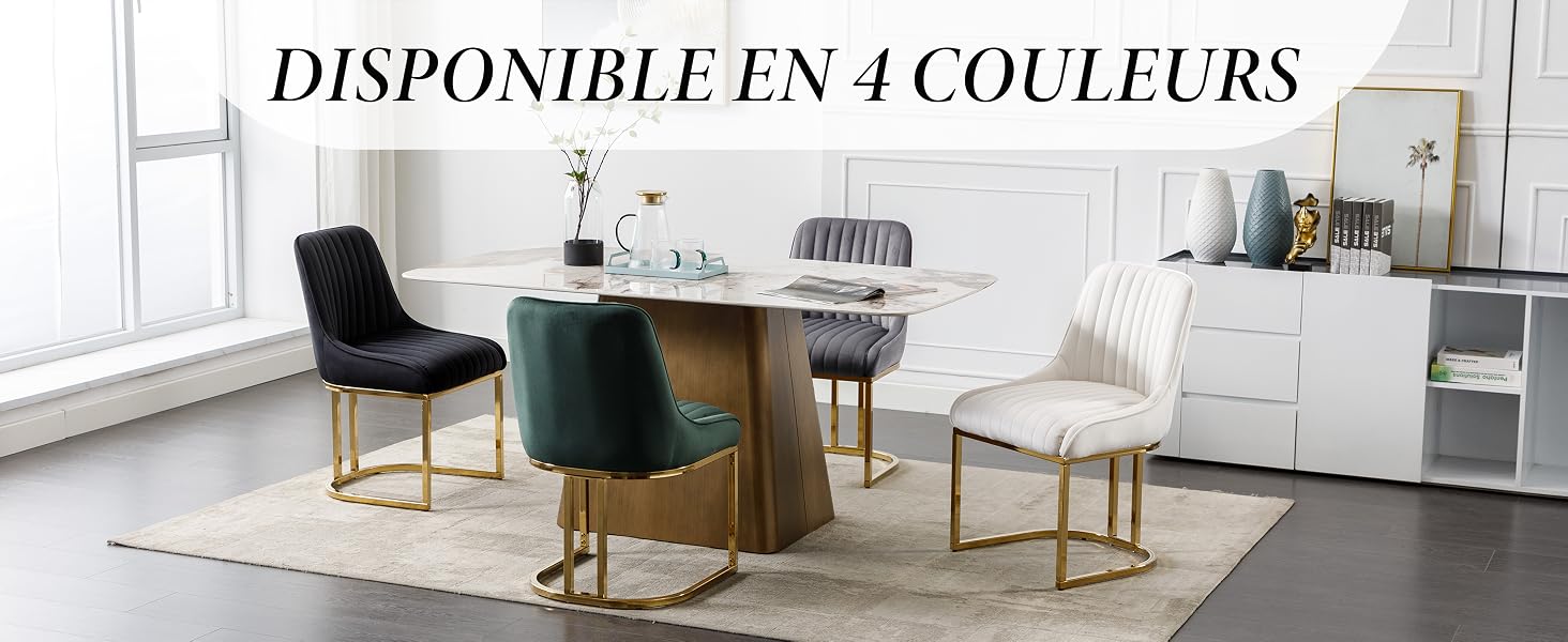 Chaise Rembourrée pour Salon