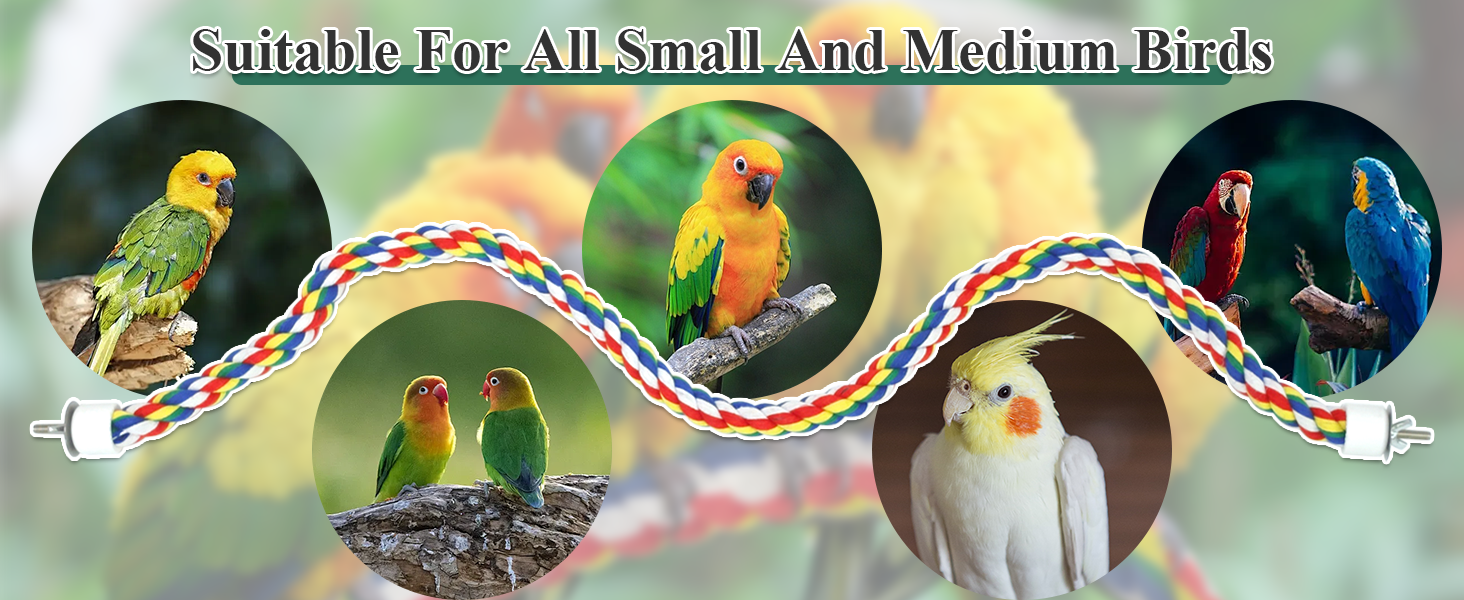 Colorful braided rope perch for small and medium birds. Curved design with clips at ends. Images of various bird species shown using the perch.
