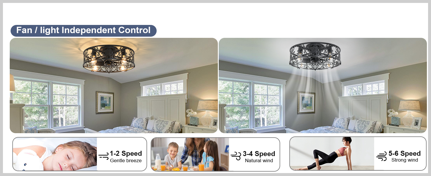fandaliers ceiling fan