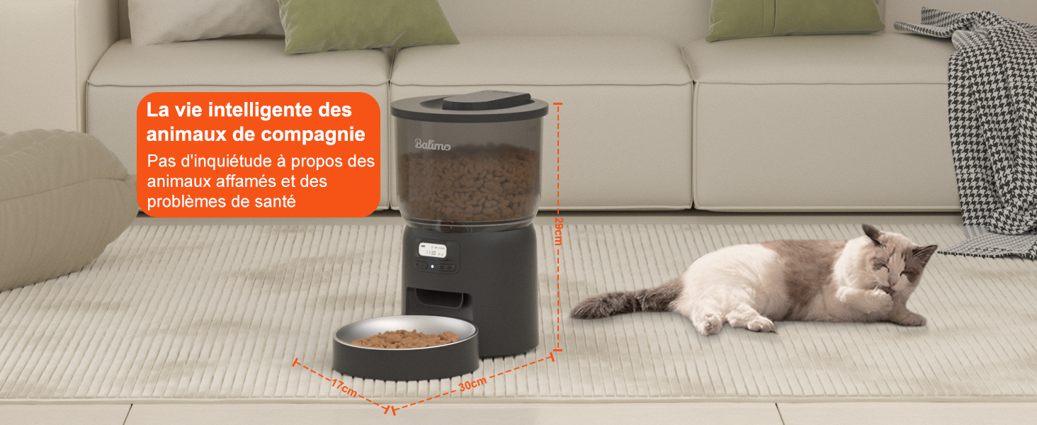 automatischer Katzenfutterspender