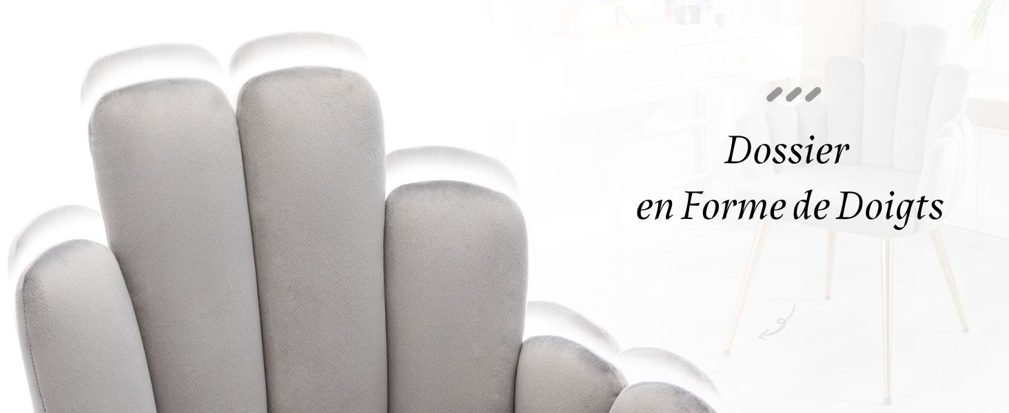 chaise de salle à manger lot de 2