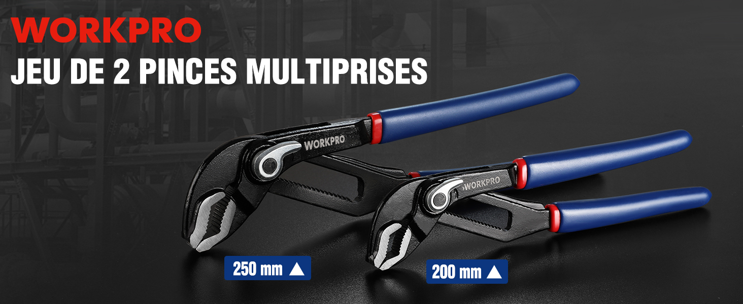 WORKPRO Pince Multiprise Réglable Serrage Rapide