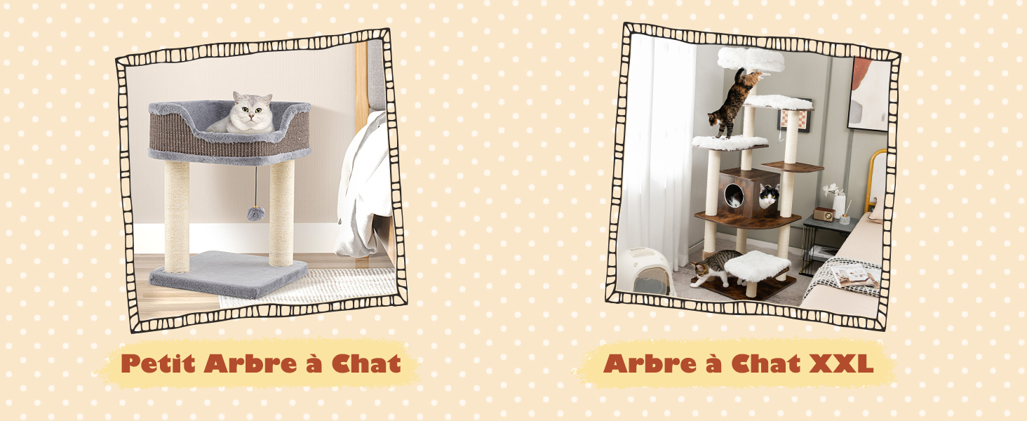 Le texte indique « Petit Arbre à Chat » et « Arbre à Chat XXL ». Deux images encadrées montrant des meubles pour chats de différentes tailles.