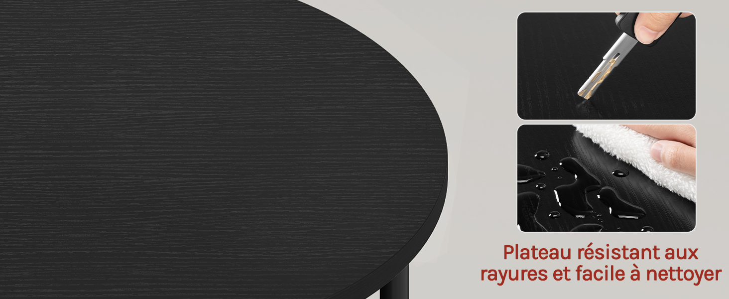 Le texte indique « Plateau résistant aux rayures et facile à nettoyer ». Surface noire montrée avec brosse et démonstration de nettoyage sur un matériau texturé foncé.