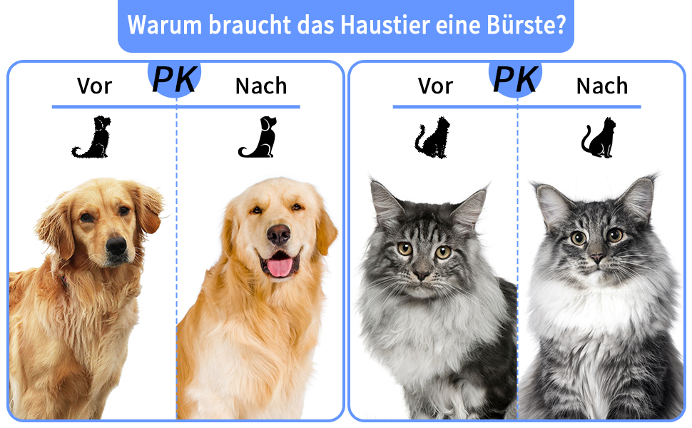 Katzenbürste Hundebürste
