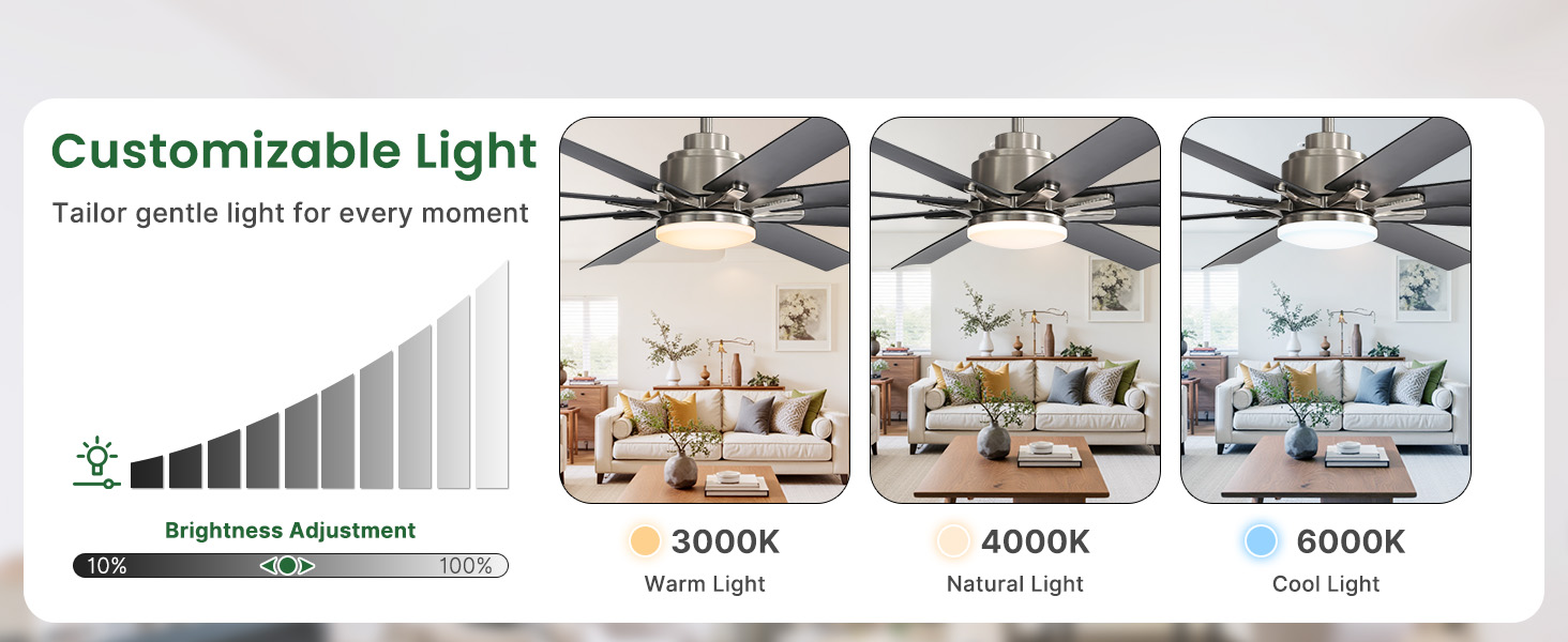 ceiling fans with lights