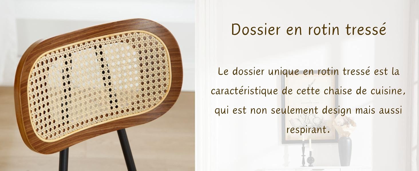 lot de 2 chaise salle à manger