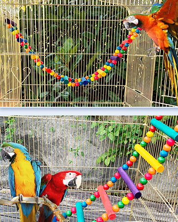 Large bird cage with colorful parrots inside. Features include multicolored toy chains, perches, and various play accessories for bird enrichment.