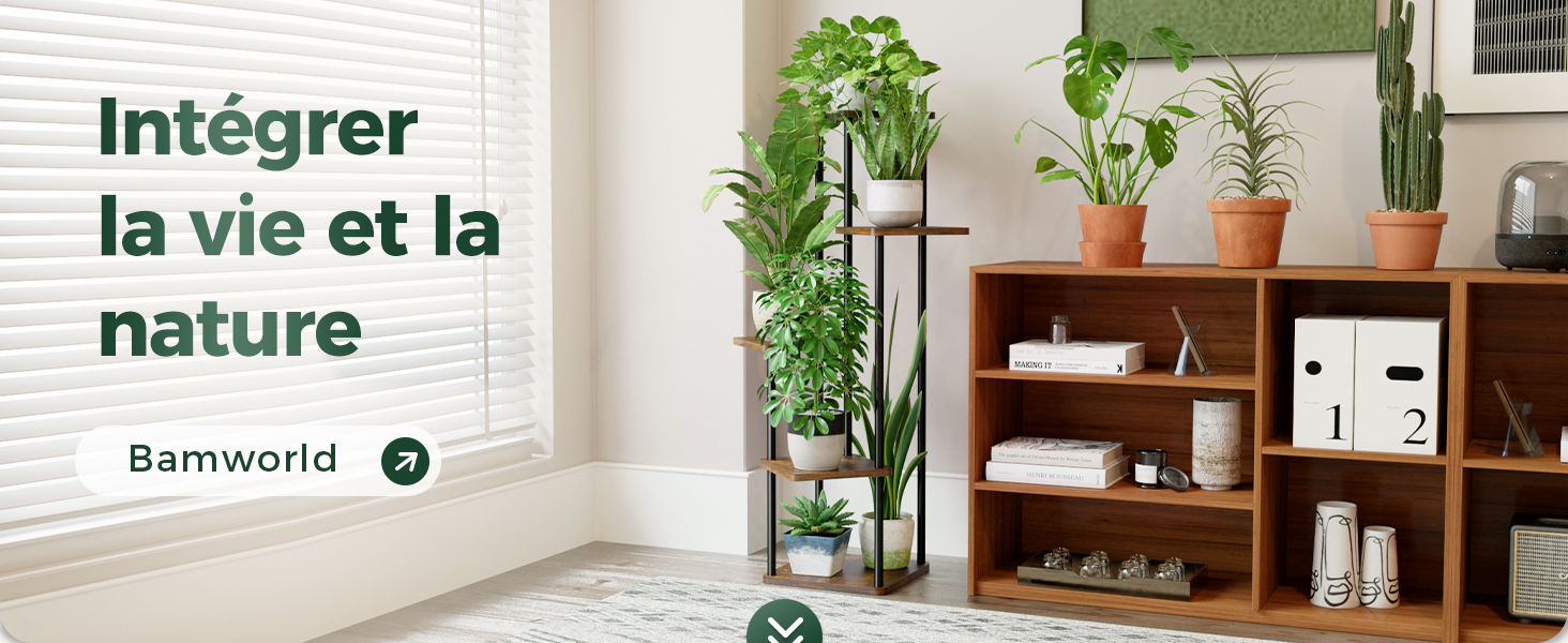 un support pour plantes avec plusieurs plantes dessus.