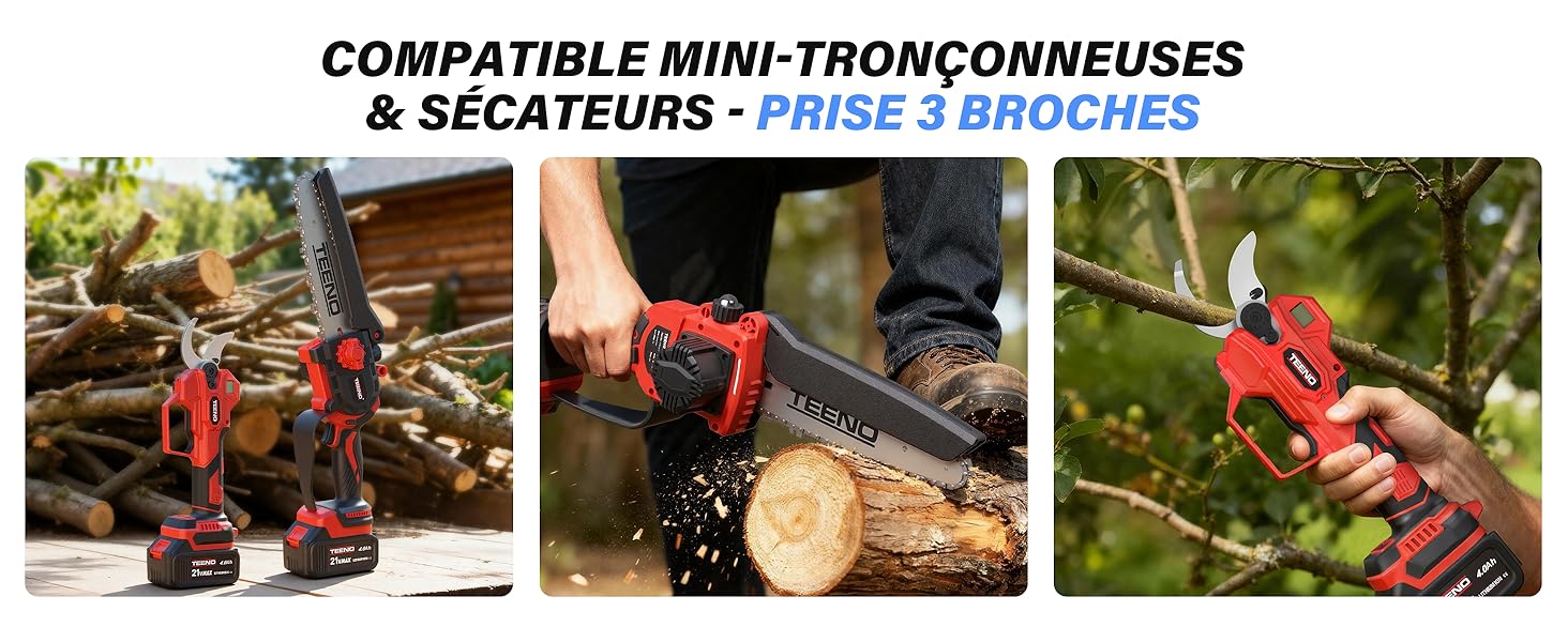 Le texte indique « Image 7 ». La série présentant des objets de décoration ou des ornements en bois sur fond de verdure et d'éclairage semble avoir pour thème les fêtes de fin d'année.