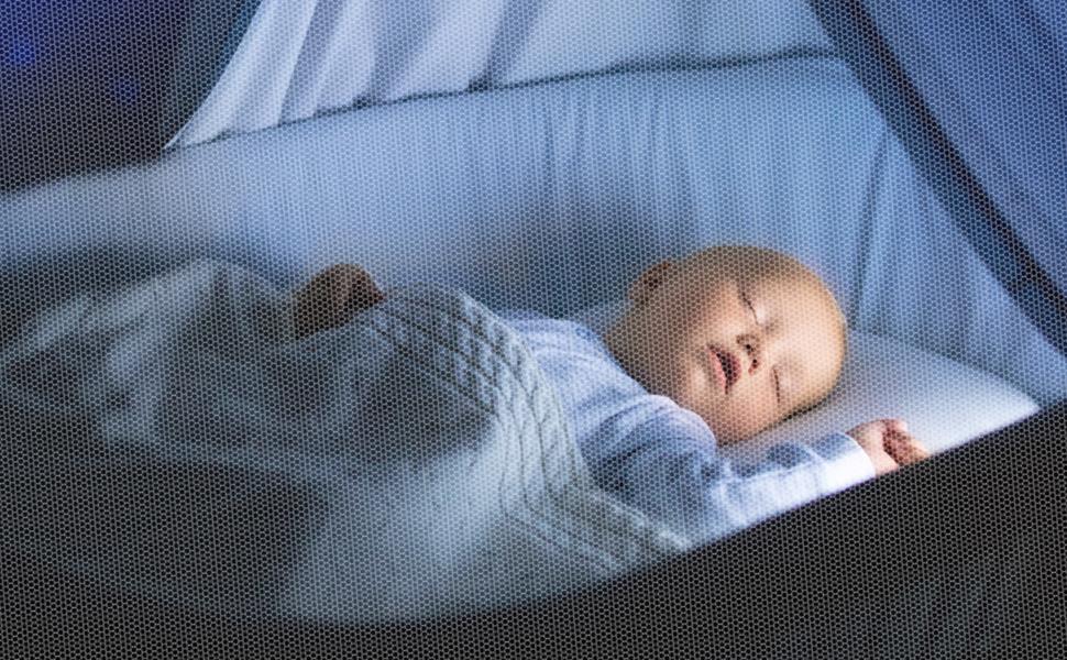 mosquito net