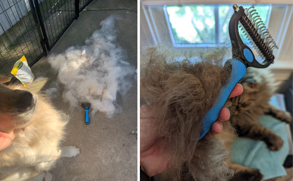 cat brush