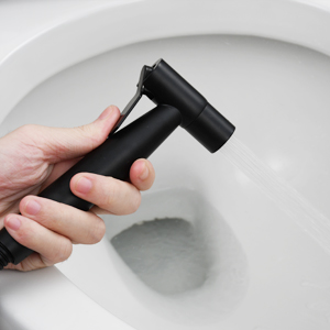Acier Inoxydable Kit Douchette Toilette