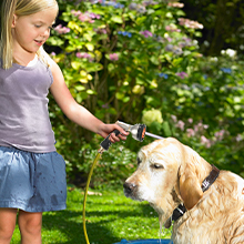 Pistolet d'arrosage pour chien