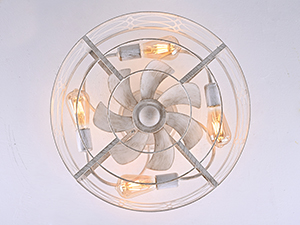 ceiling fan with light