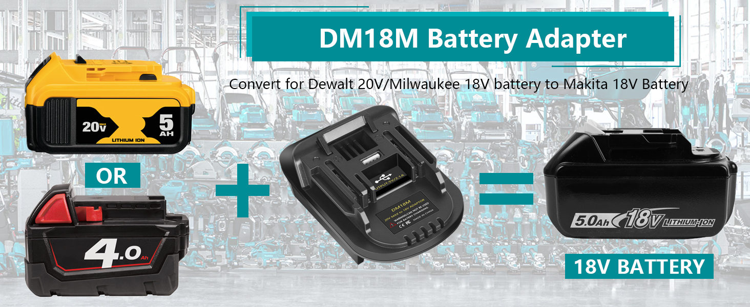 dm18m