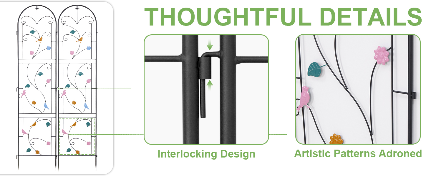aplus content image