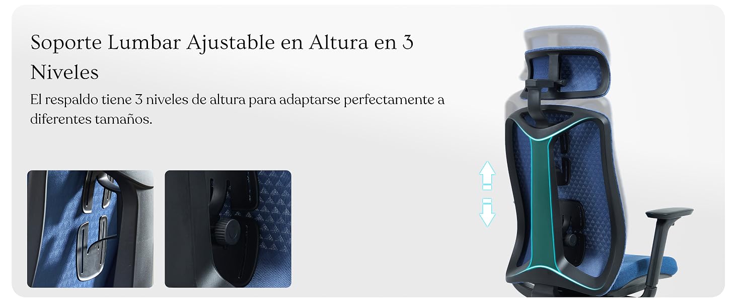 El texto dice «Soporte Lumbar Ajustable en Altura en 3 Niveles». Las imágenes del producto muestran un cojín de soporte lumbar azul con correas ajustables desde varios ángulos.