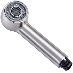 Douchette Robinet 