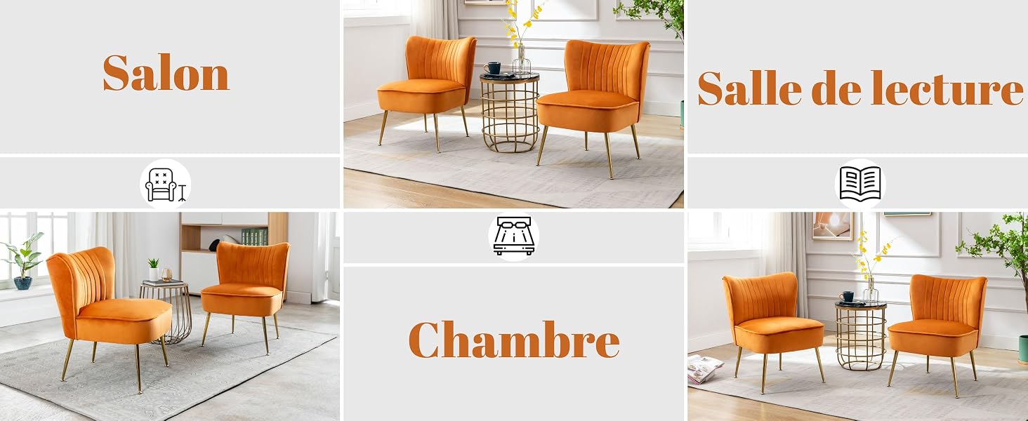 fauteuil pour salon