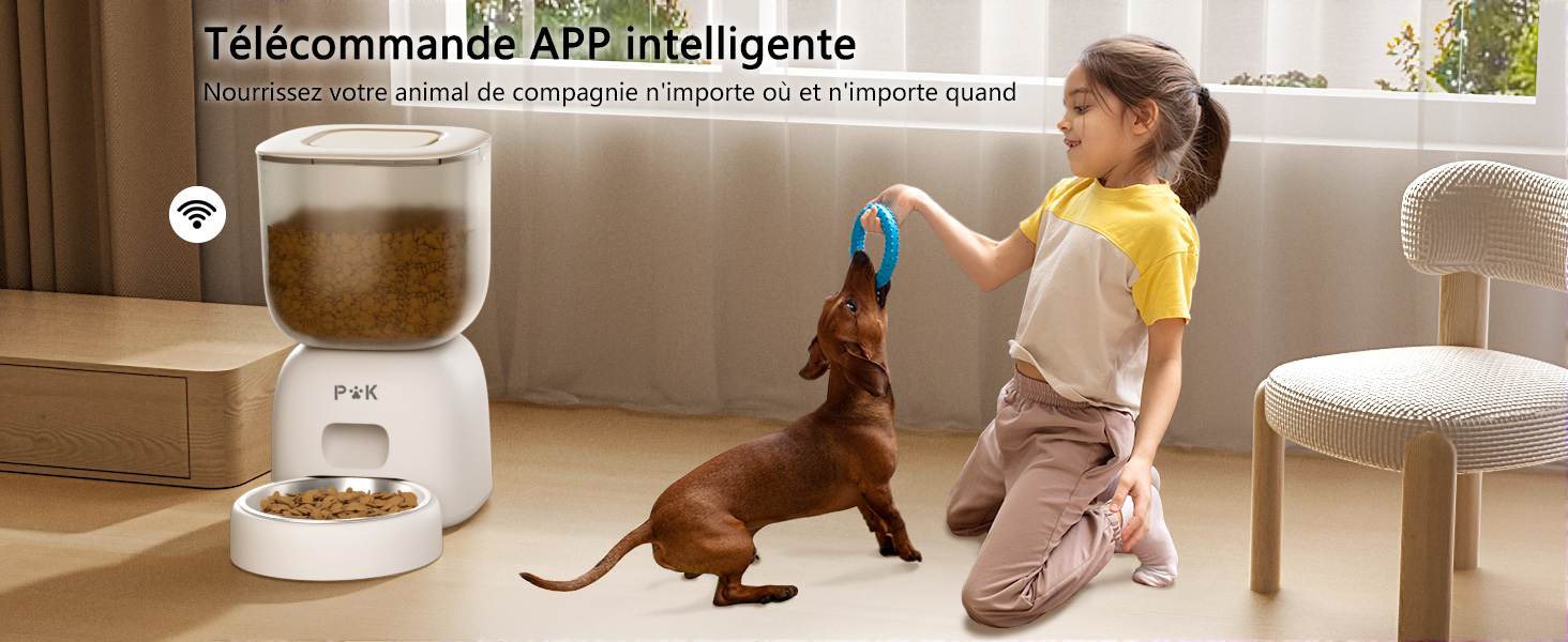 Distributeur Croquettes Chat Automatique