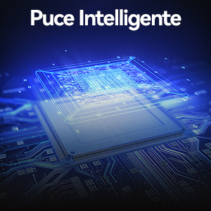 chip inteligente