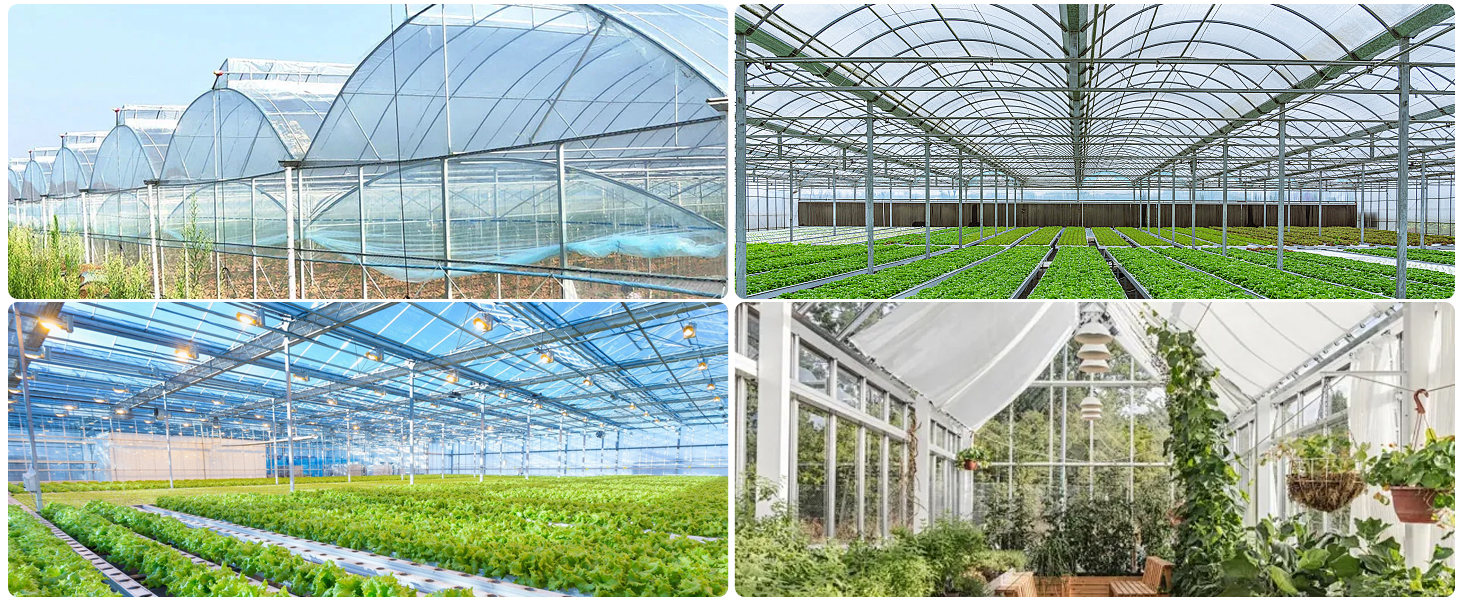 Four-panel collage of greenhouse facilities showing hydroponic growing systems and glass greenhouse structures with rows of plants under controlled environment conditions.