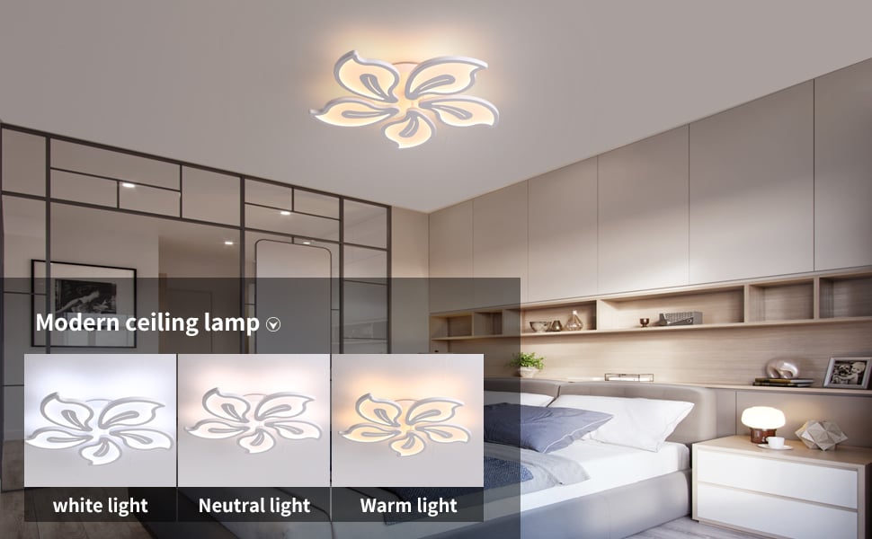 modern led ceiling light