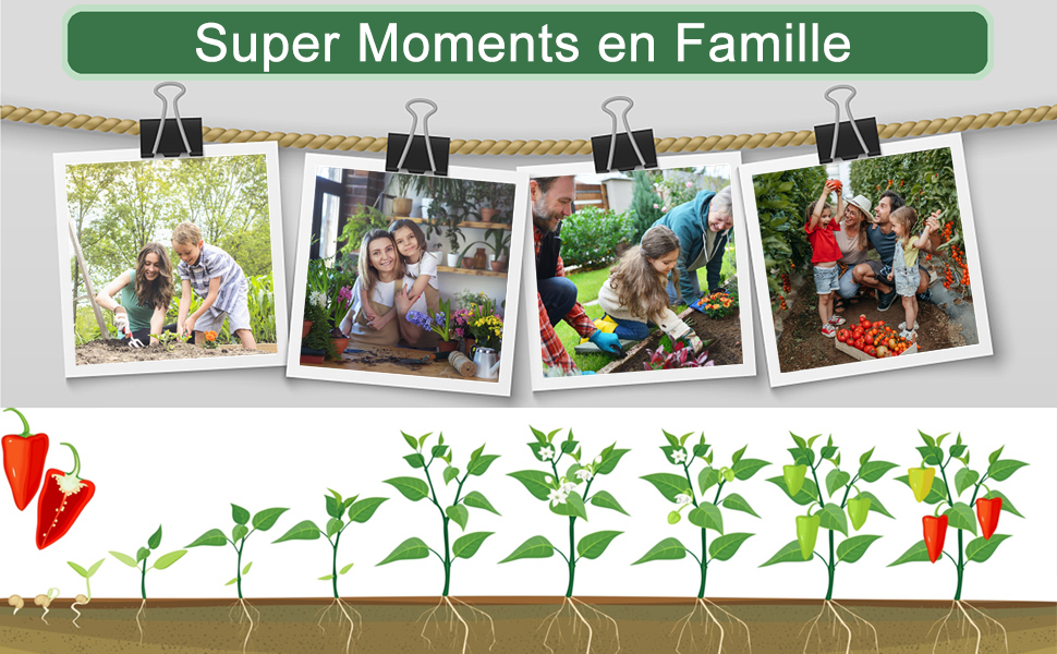 Super Moments en Famille