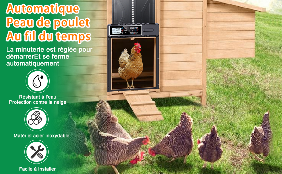 Chicken coop door