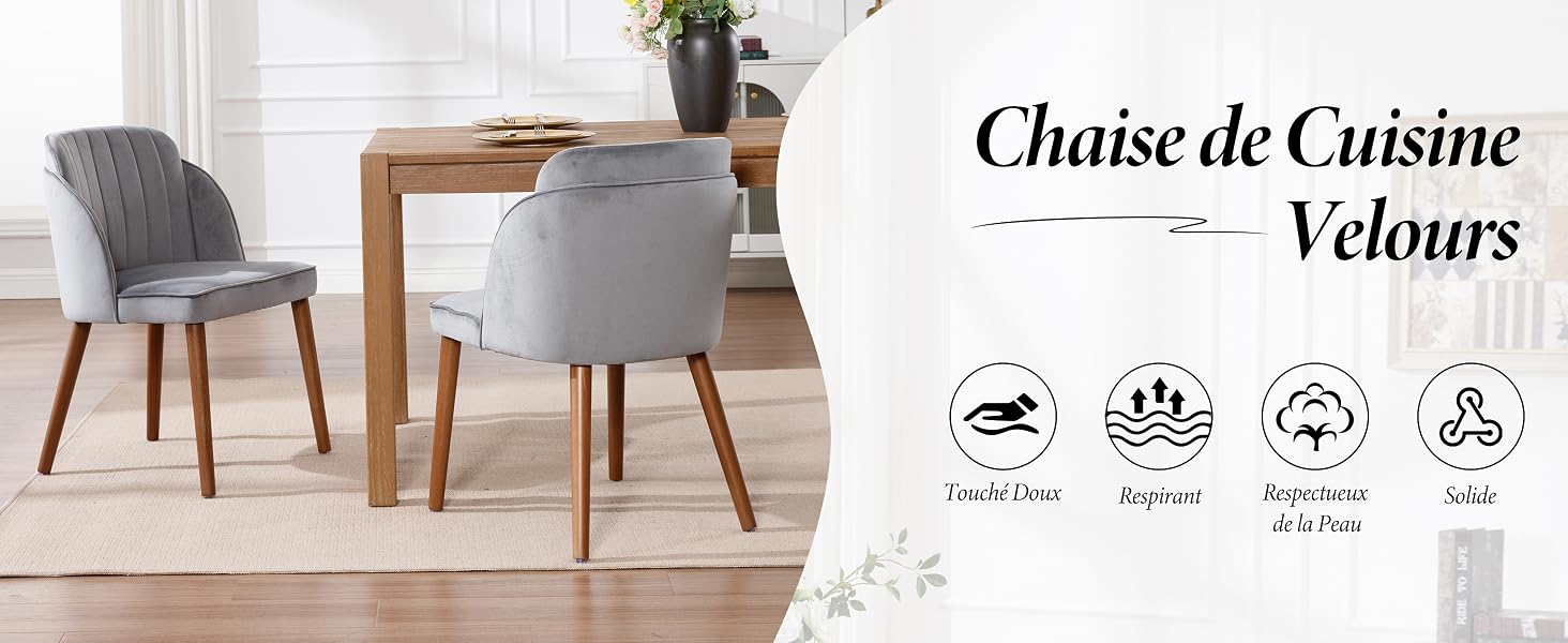 Chaise de Salle à Manger