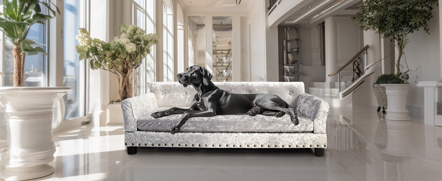 BingoPaw Luxus Samt Hundesofa XXL
