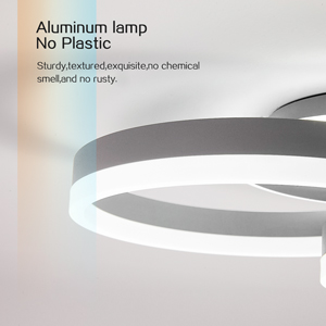 Runde Aluminium-Deckenleuchte ohne Kunststoff. Verfügt über ein robustes, chemikalienbeständiges Design, das nicht rostet. Die Lampe hat eine moderne, ringförmige Struktur