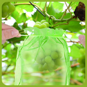 Sac de Protection de Raisin