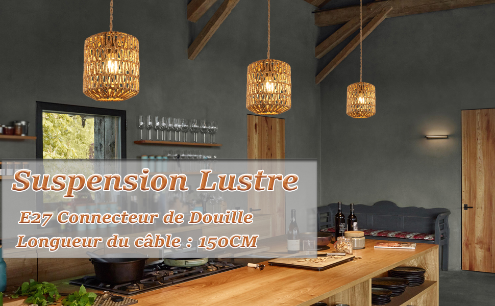 suspension luminaire