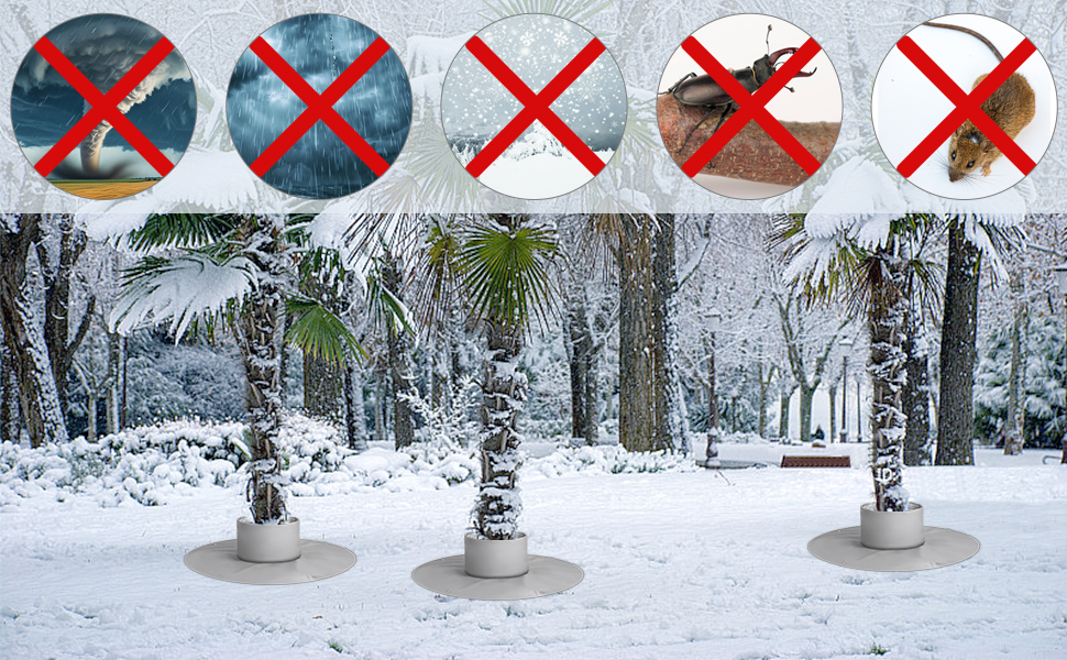 Protection contre le gel Arbre Palmier Olivier