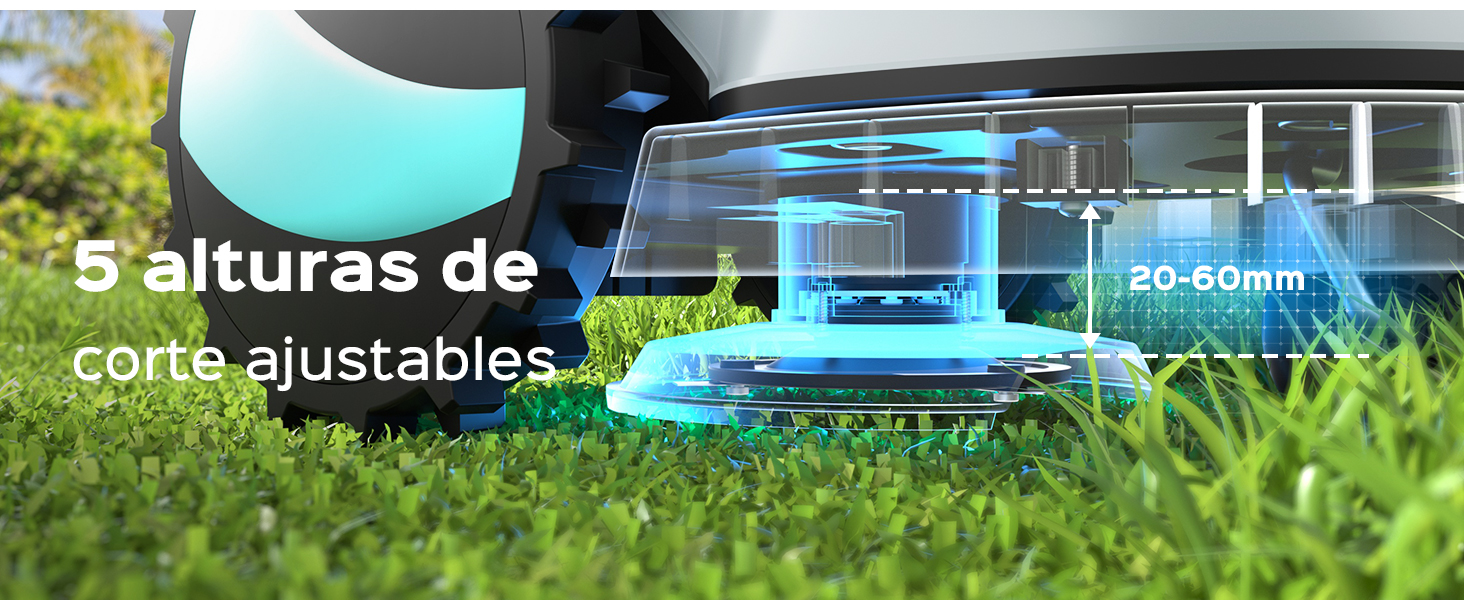 aplus content image
