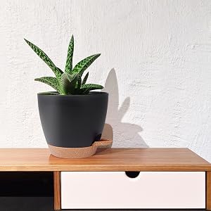 Pot à eau automatique