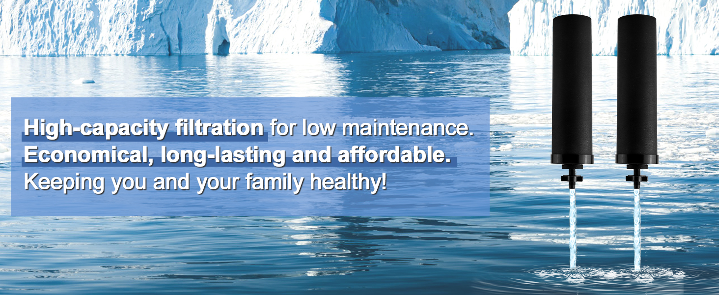 gravity water filter system