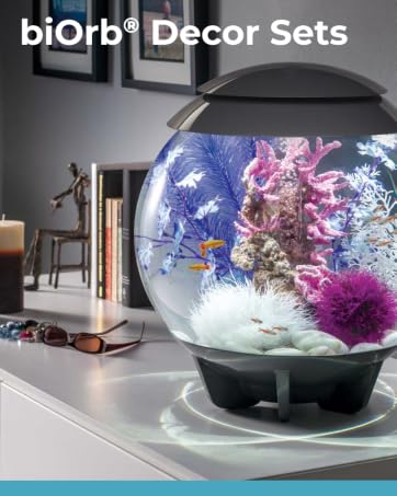 Text reads 'biOrb Decor Sets'. Spherical glass aquarium with colorful decorative elements including purple and blue accents, shown from multiple angles.