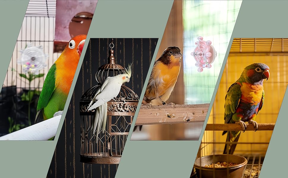aplus content image
