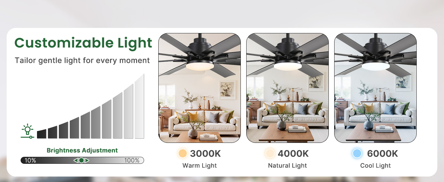 smart ceiling fan with light