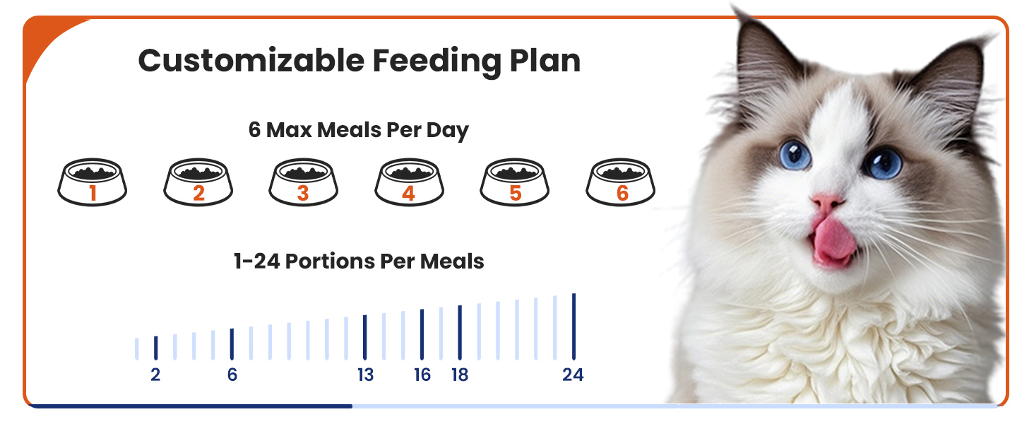 feeding plan