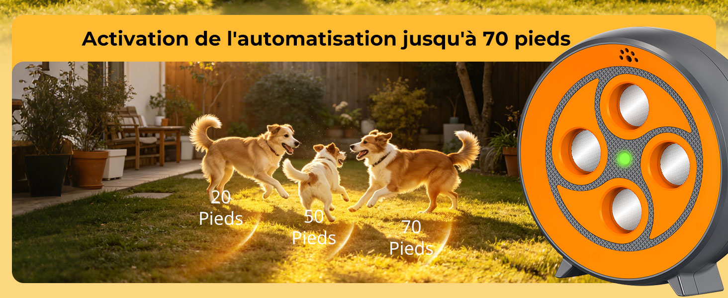 Le texte se lit comme suit : « Activation de l'automatisation jusqu'à 70 pieds ». Scène extérieure montrant des chiens jouant avec un lance-balles automatique orange monté sur un terrain en herbe pendant la journée.