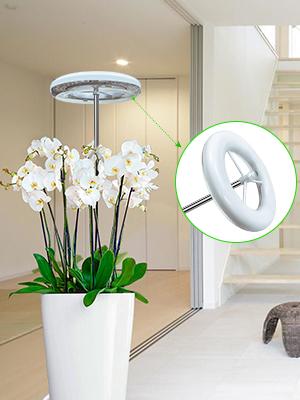 lampe de plante